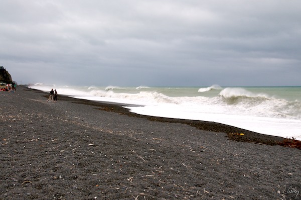 New Zealand 09 10  099